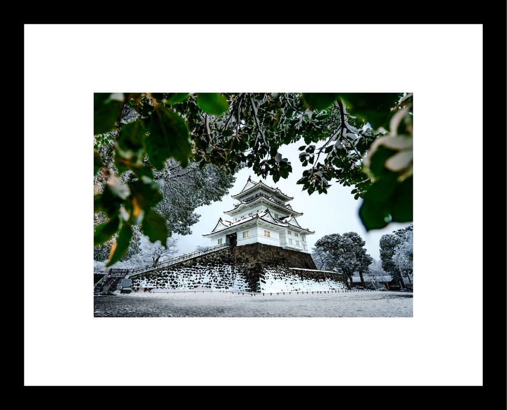 Framed limited-edition print