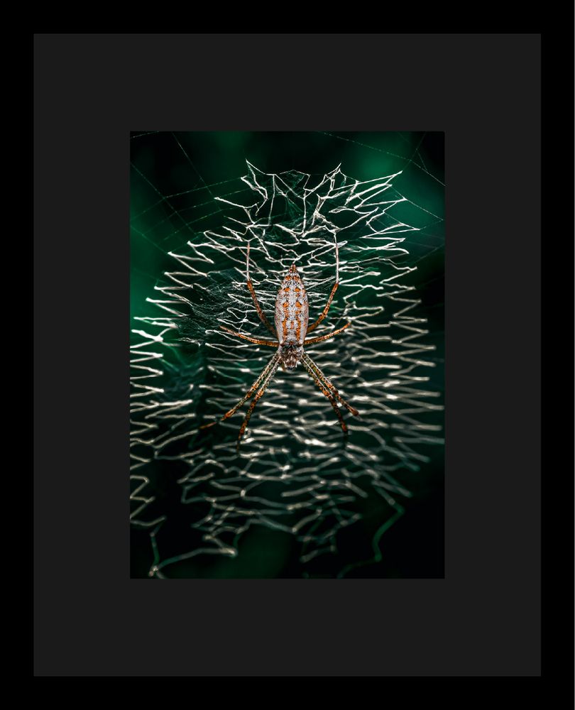 Signed and numbered print with certificate