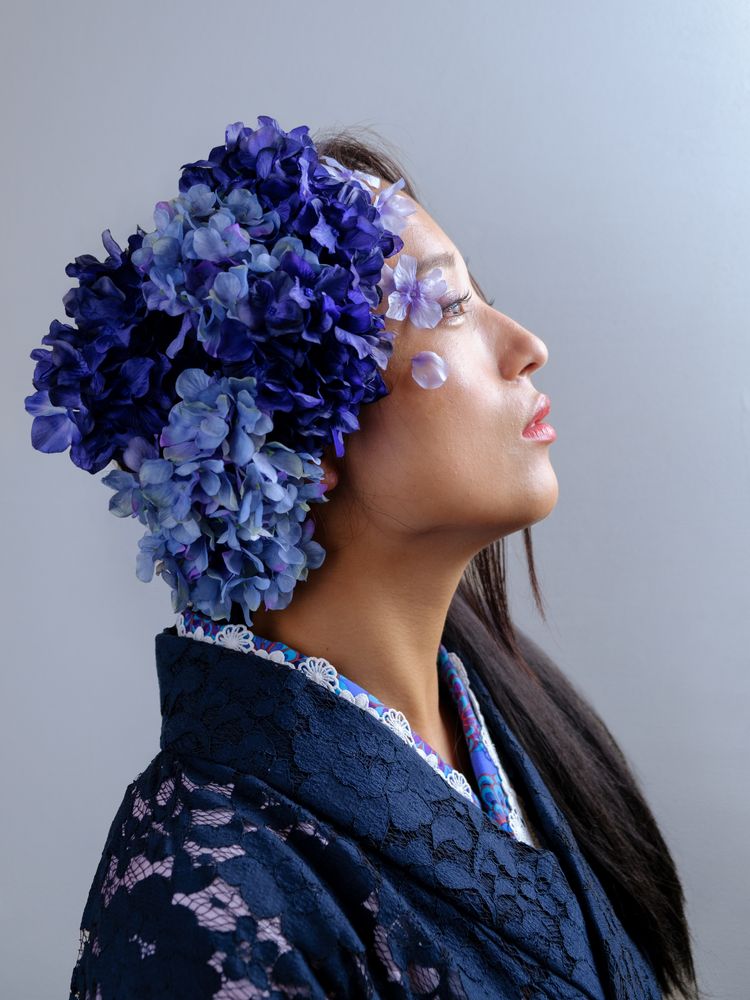 Hollow Hydrangea